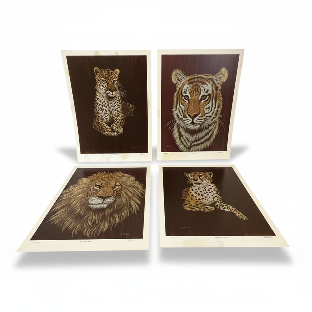 Vintage M. Brice Wildlife Print Set of 4 Lion Tiger Leopard Cheetah